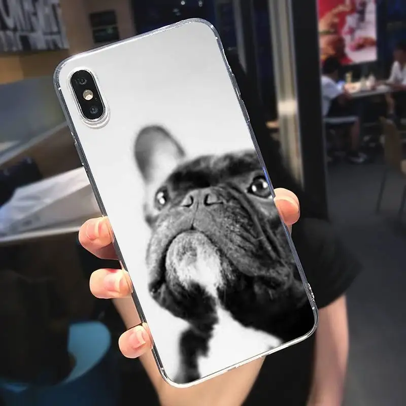 

Cute Funny French Bulldog Phone Case Transparent for iPhone 6 7 8 11 12 s mini pro X XS XR MAX Plus