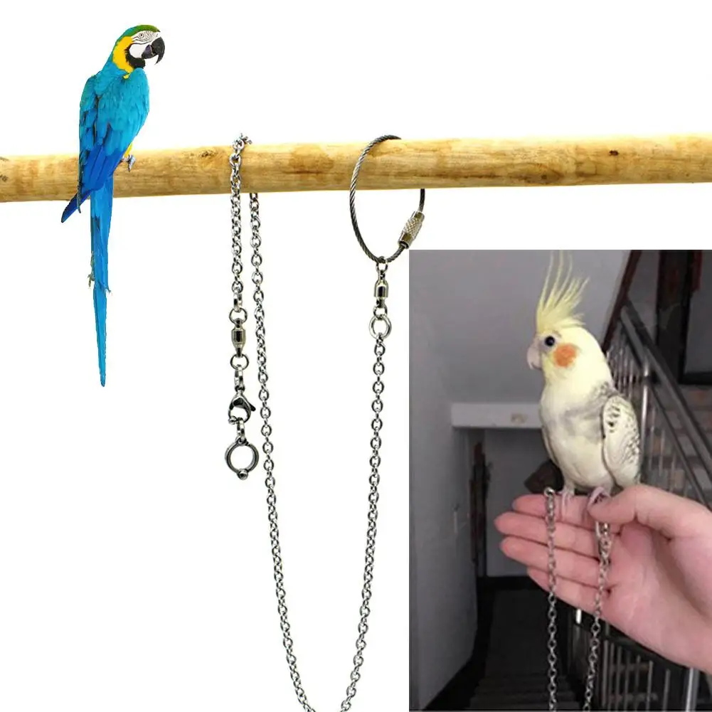1 шт. Pet Parrot Leg Ring цепочка на лодыжку Птичье кольцо открытый Летающий тренировочный Стенд аксессуары товары для птиц