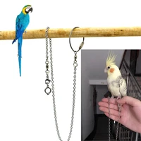 new parrot stainless steel foot ring chain opening activity ring for lovebird cockatiel parakeet bird stand anklet normal