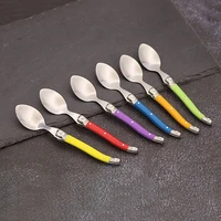 6pcs stainless steel laguiole coffee spoons set plastic handle spoon set for tea tableware colorful small spoon