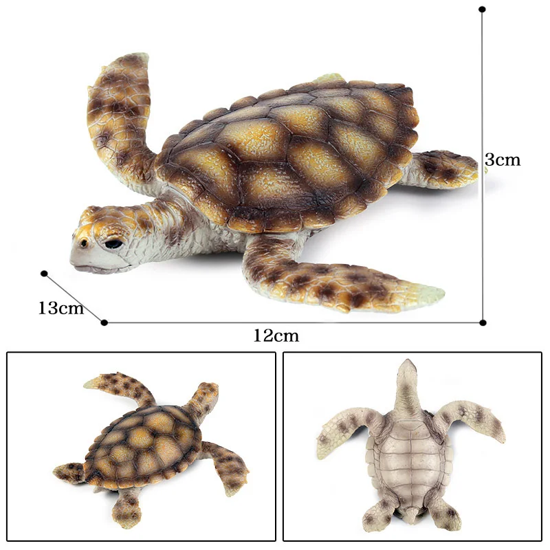 

Sea Life Animals Model Toys Simulation Turtle Brazilian Tortoise Giant Action Figure Pvc Figurines For Kids Education Decor Gift