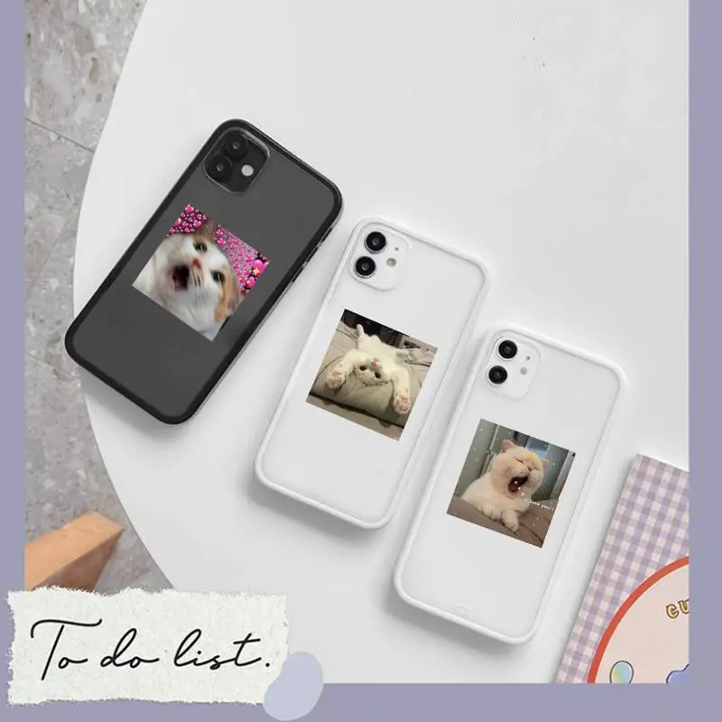 

Cute animal cat pattern Phone Case matte transparent For iphone 7 8 11 12 plus mini x xs xr pro max cover
