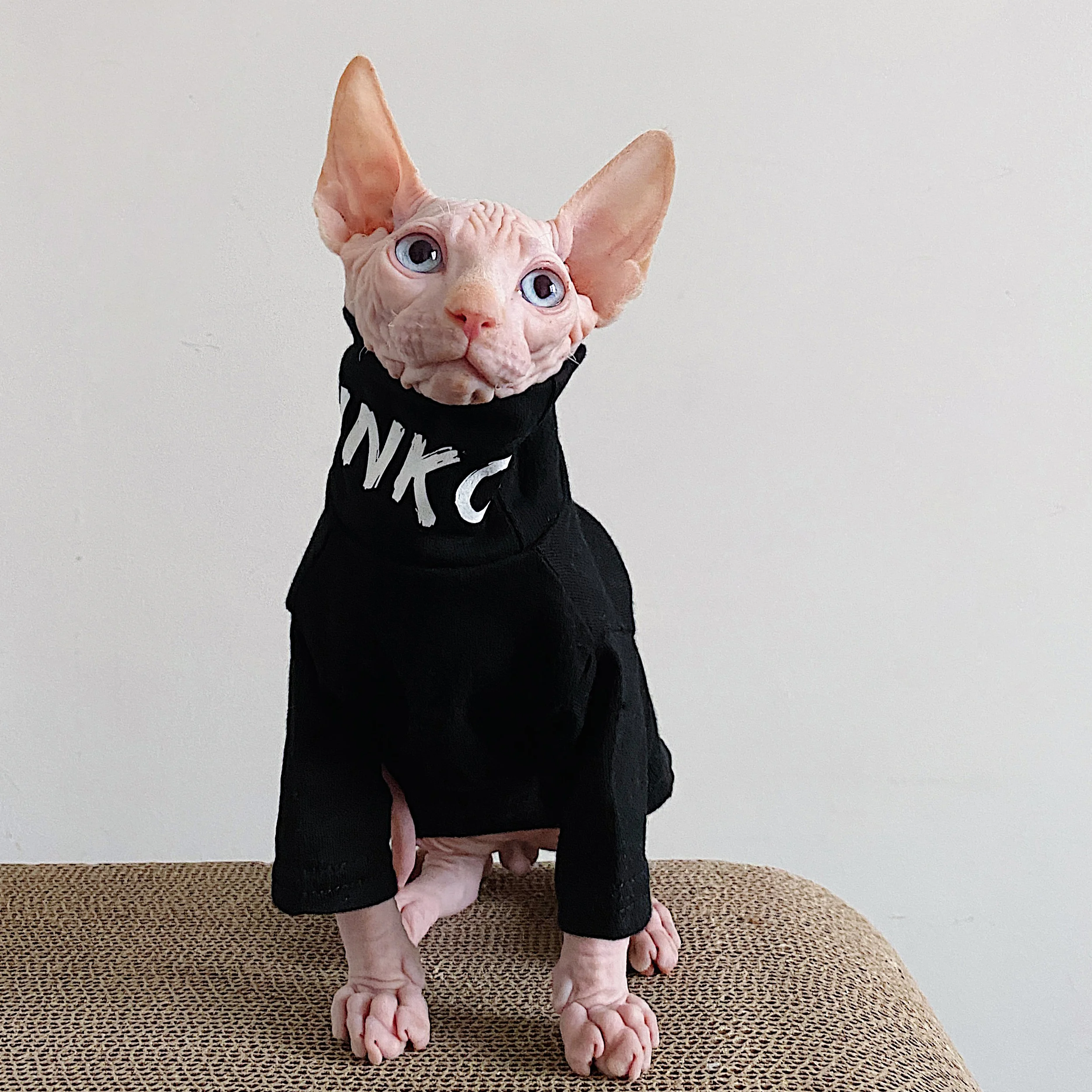 Одежда для кошек без волос Сфинкс одежда Devon эластичная хлопковая