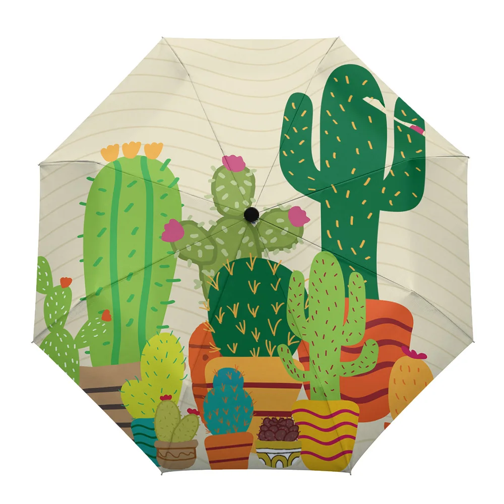 Кактус завод суккулент горшок восемь костей Автоматический складной зонтик