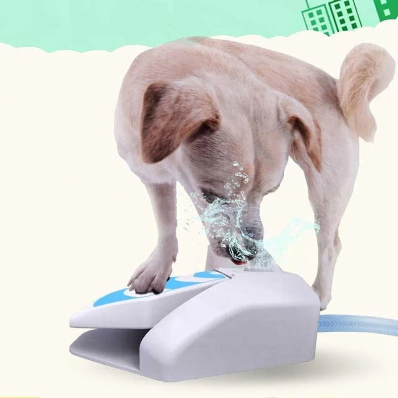 

Outdoor Wopet Pet Feeder Water Fountain Dispenser For Dogs Bowl Automatic Step On Kat Fontein Supplies Security Electricity