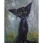 Zhui Star 5D алмазная живопись животные Черный кот полная вышивка распродажа Алмазная мозаика Стразы картина украшение для дома ZWQ