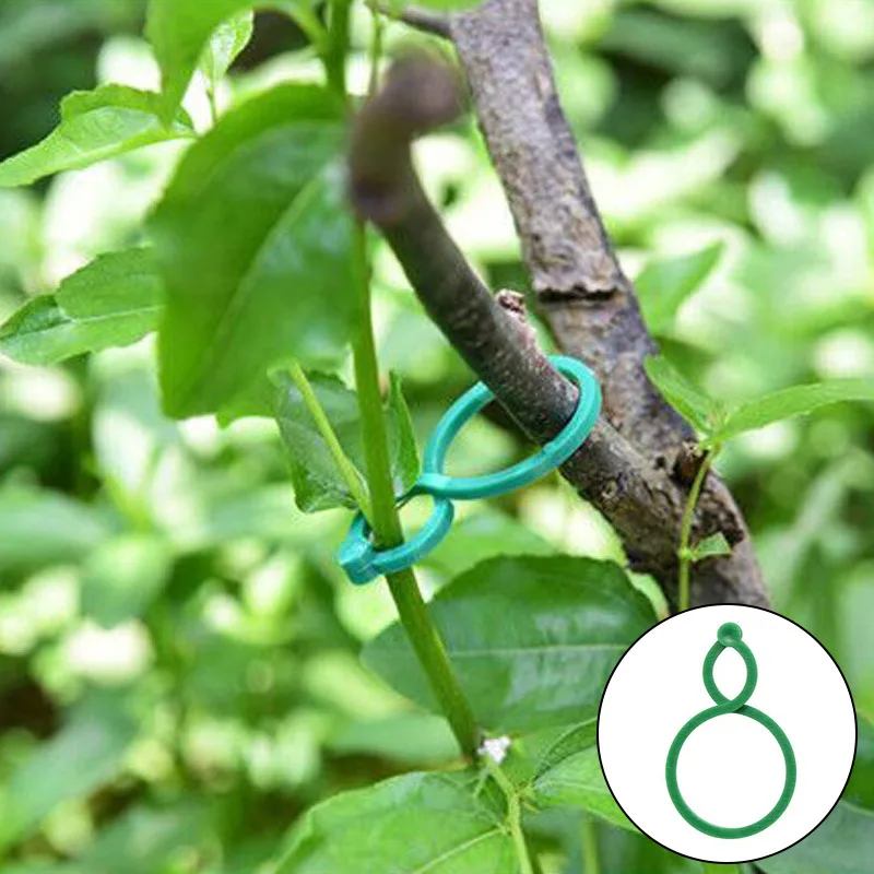 

Plant climbing wall Self-Adhesive Fastener Tied fixture Vine Buckle Hook Garden plant wall climbing Vine Clips Fixed Buckle Hook