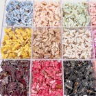 14*14 мм 15 цветов милый золотой розовый кулон в виде бабочки Модный Красочный Блестящий акриловый кулон в виде животного для изготовления ювелирных изделий своими руками