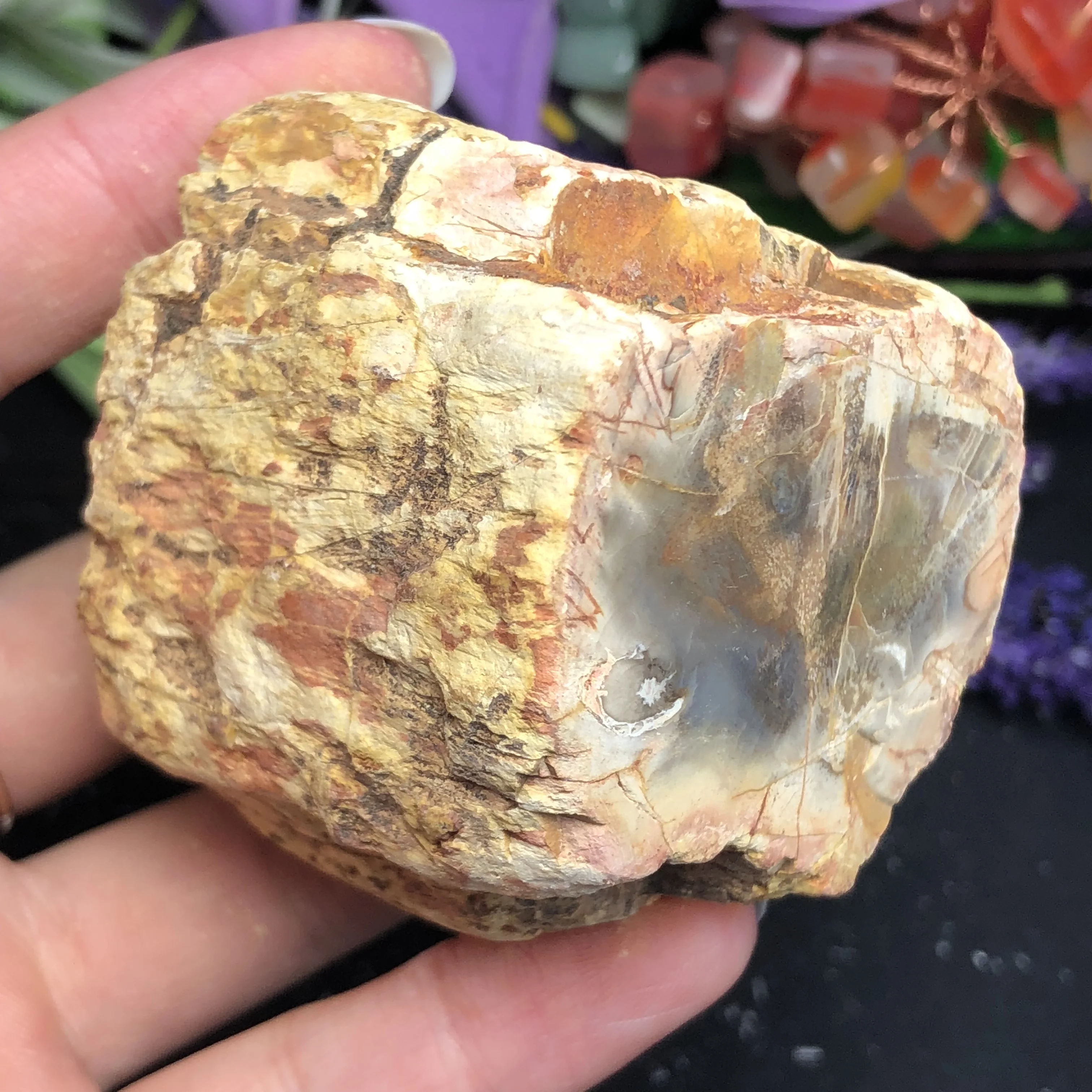 Натуральный каменный камень из окаменелого дерева натуральный минеральный