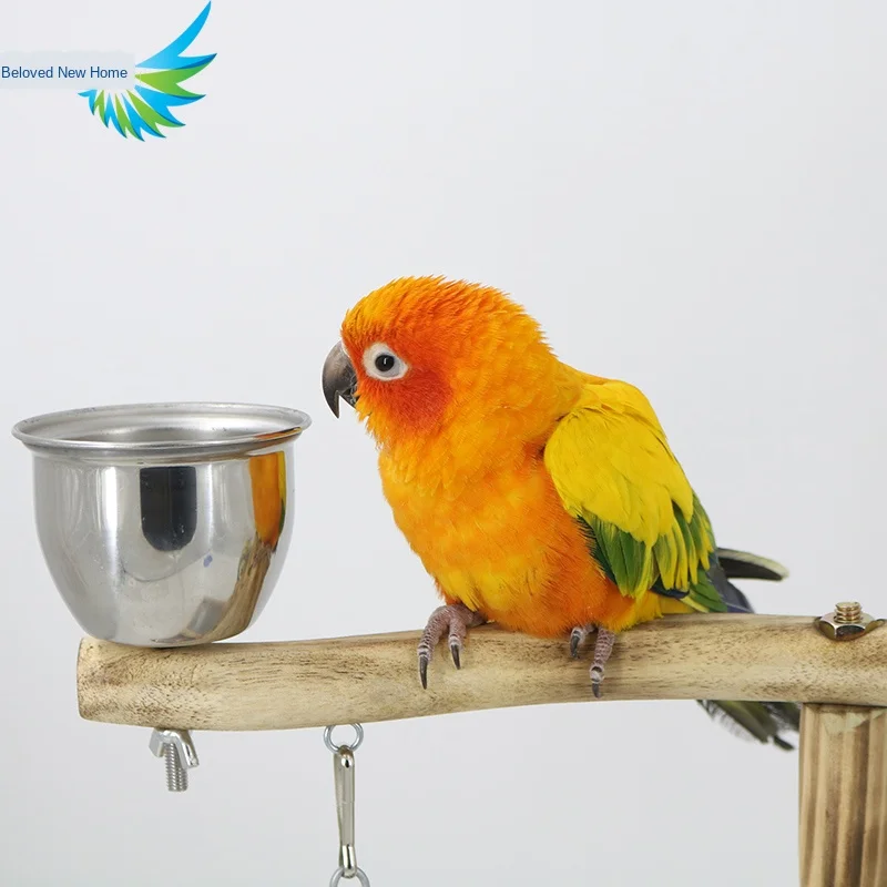 

Exquisite workmanship bird cage game bench material superior parrot climbing stand pet solid wood playground