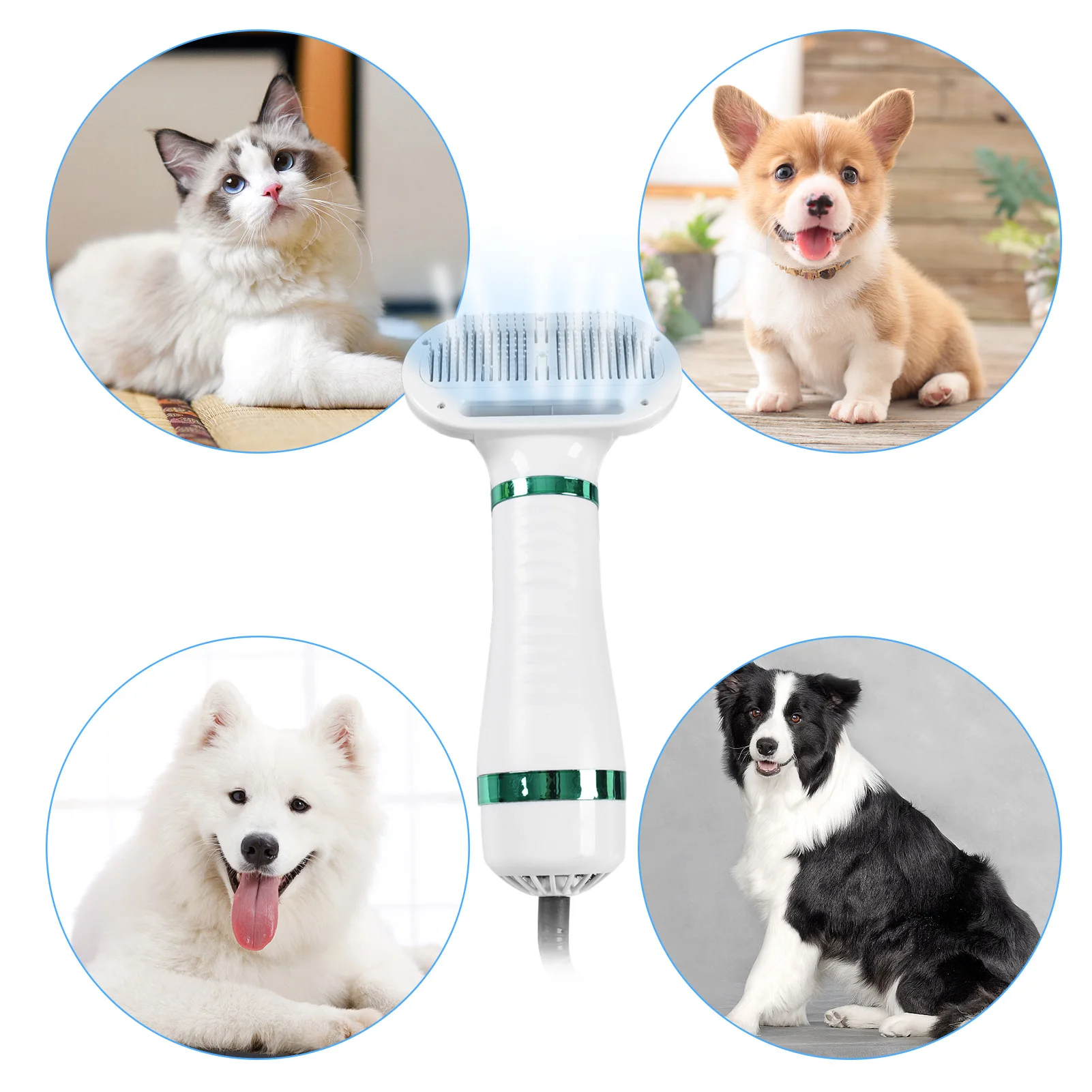 

2-In-1 Portable Dog Dryer Dog Hair Dryer And Comb Brush Pet Grooming Cat Hair Comb Dog Fur Blower Low Noise Dog Supplies