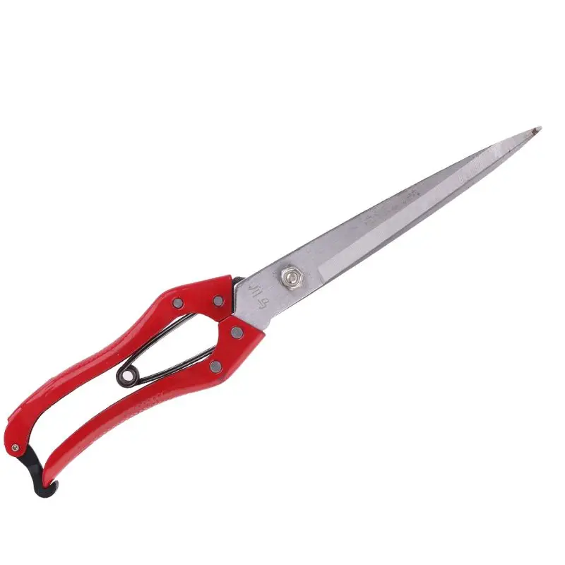 Ножницы для стрижки овец №150 garantirt gussstahl. Ножницы для шерсти. Ножницы для овец ручные. Шерстяные ножницы отзывы. Ножницы для стрижки барана.