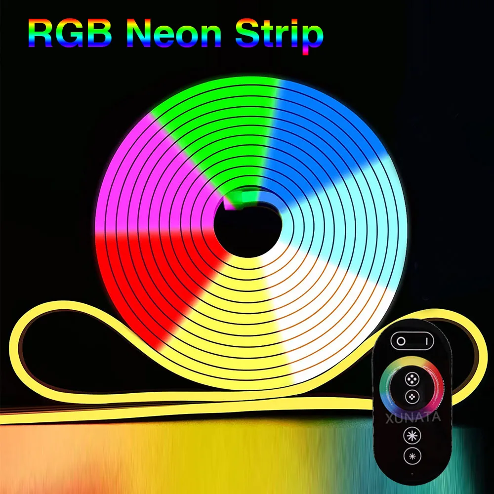 

AC 220V 110V RGB Neon Strip Waterproof Neon Sign Outdoor Indoor Decor EU US AU UK Set With Remote Flexible Ribbon 5050 LED Strip