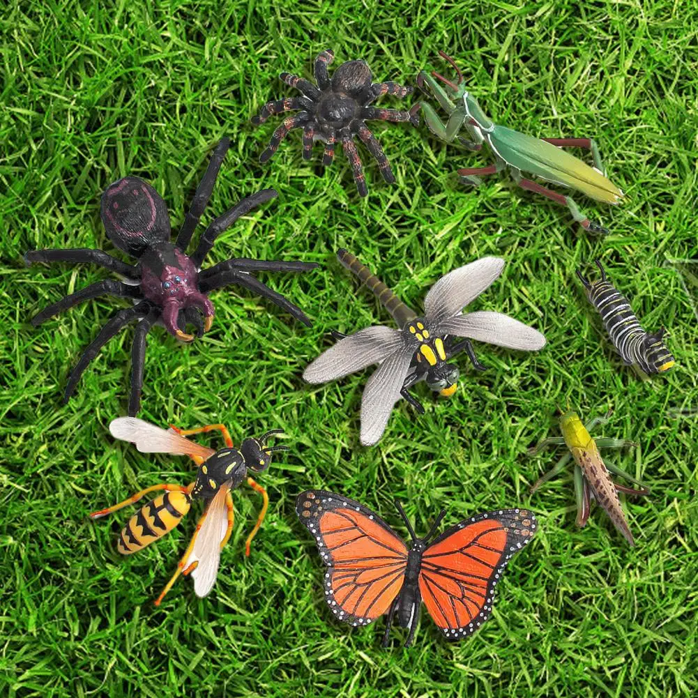 Яркое выражение полезное отличное исполнение Кузнечик Стрекоза гусеницы