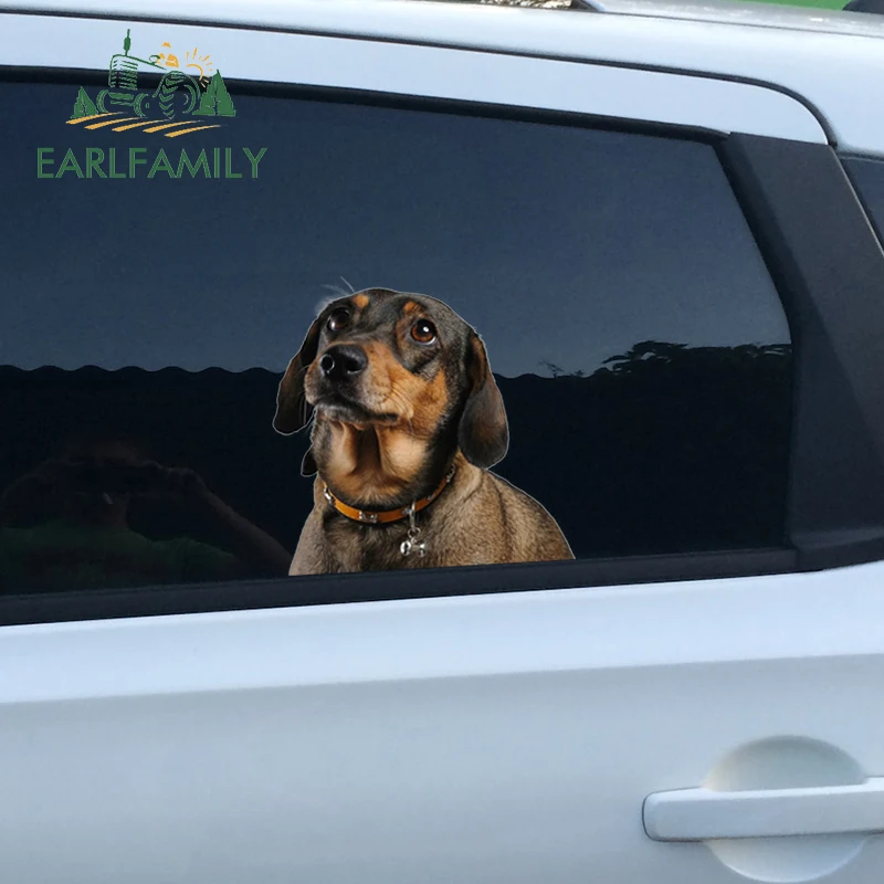 EARLFAMILY 13 см x 12 7 для таксы автомобильные аксессуары наклейки с окошком забавная
