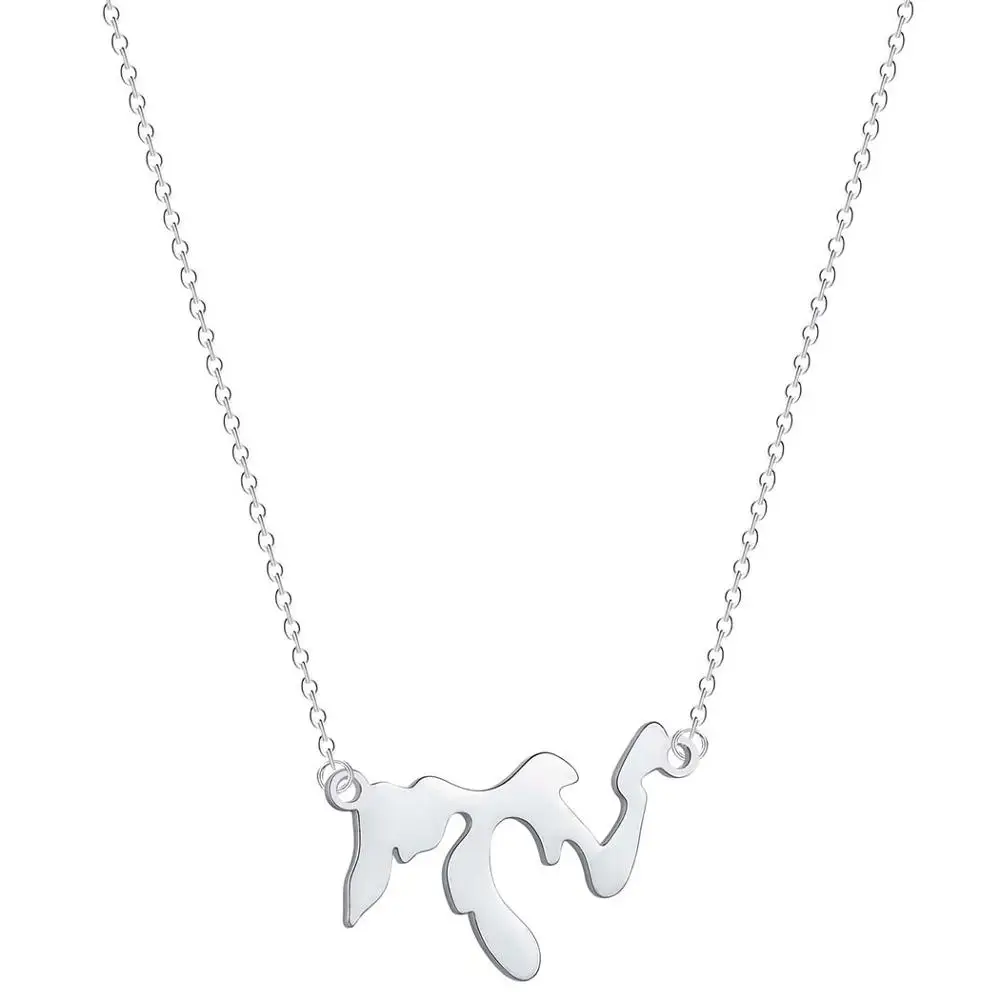 Тоторова великое озеро Мичиган Культовая подвеска озёр дома кулон ожерелье Illinois