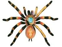 4d spider animal anatomy model skeleton medical teaching aid laboratory education equipment master puzzle assembling toy
