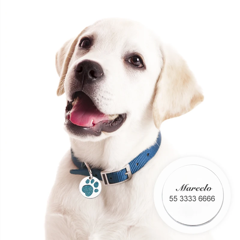 

Personalized Custom Dog Tag Creative Dog Paw Dog Cat Tag Collar Anti-lost Pet Name Plate Metal Pendant Keychain Pet Accessories