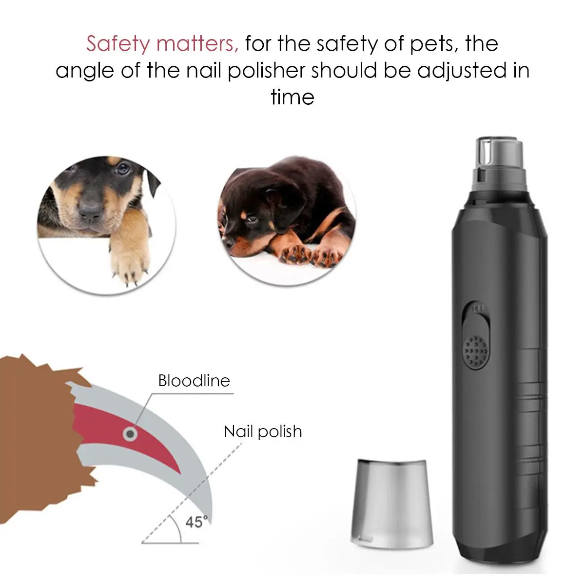 

Pet Products