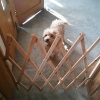 folding pet barrier fence retractable gate baby door gates dog stair gate extendable isolation safety puppy sliding door 2021