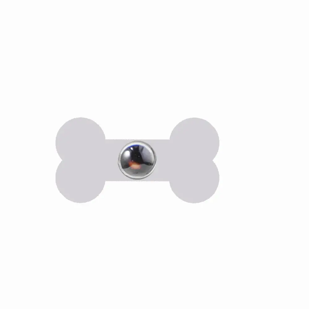 Silver Bone RJ пользовательский любимого питомца, имя, изображение 100 языков I Love you ожерелье кулон кошка собака Лапа кости в форме колье леди Для мужчин ювелирные изделия - Окраска металла: Silver Bone