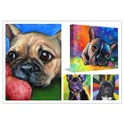 Красочная Алмазная 5D картина в виде французского бульдога, буледоги, вышивка крестиком из страз для украшения дома