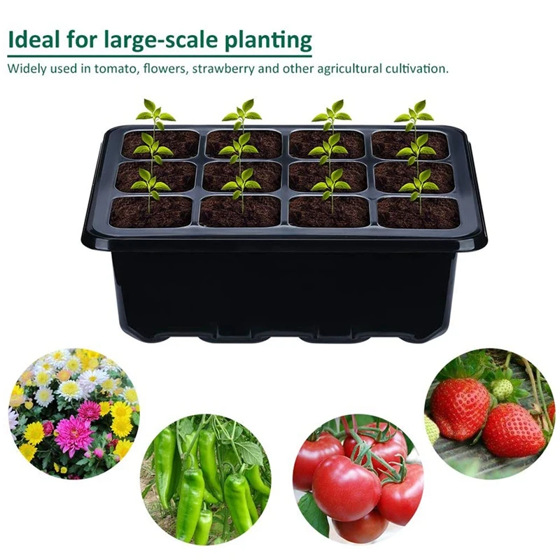 

Indoor Greenhouse Growing Set Greenhouse Growing Box for Growing with a Drainage Hole and Ventilation Cover