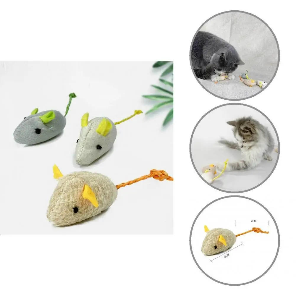 

Hanging Door 3Pcs/Set Great Pet Teething Chew Toy Retractable Pet Teaser Interactive Pet Supplies