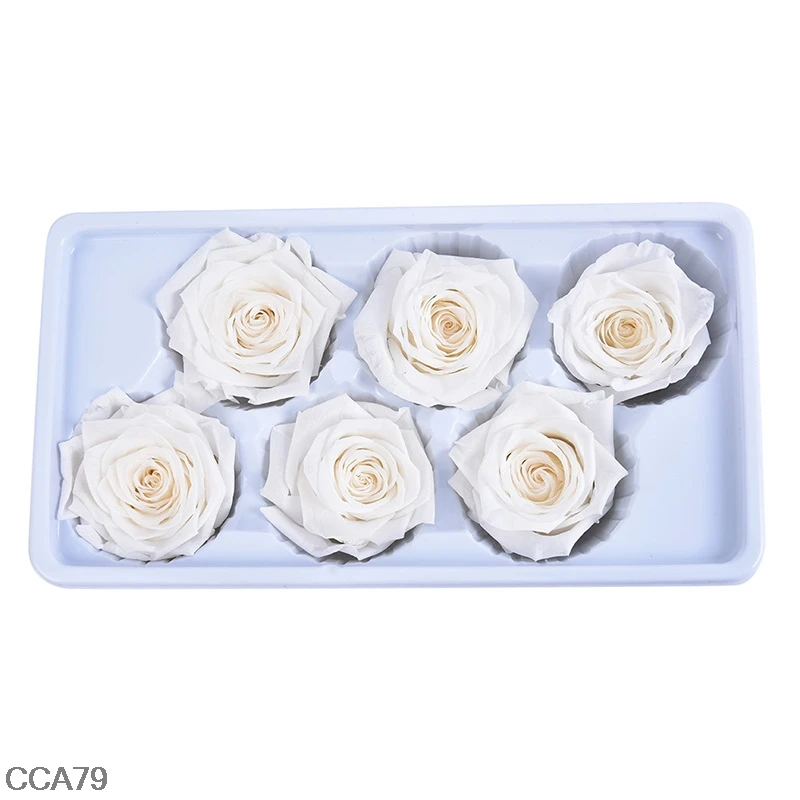 

6PCS 5cm Preserved Rose Immortal Rose Valentine's Day Gift Eternal Life Flower