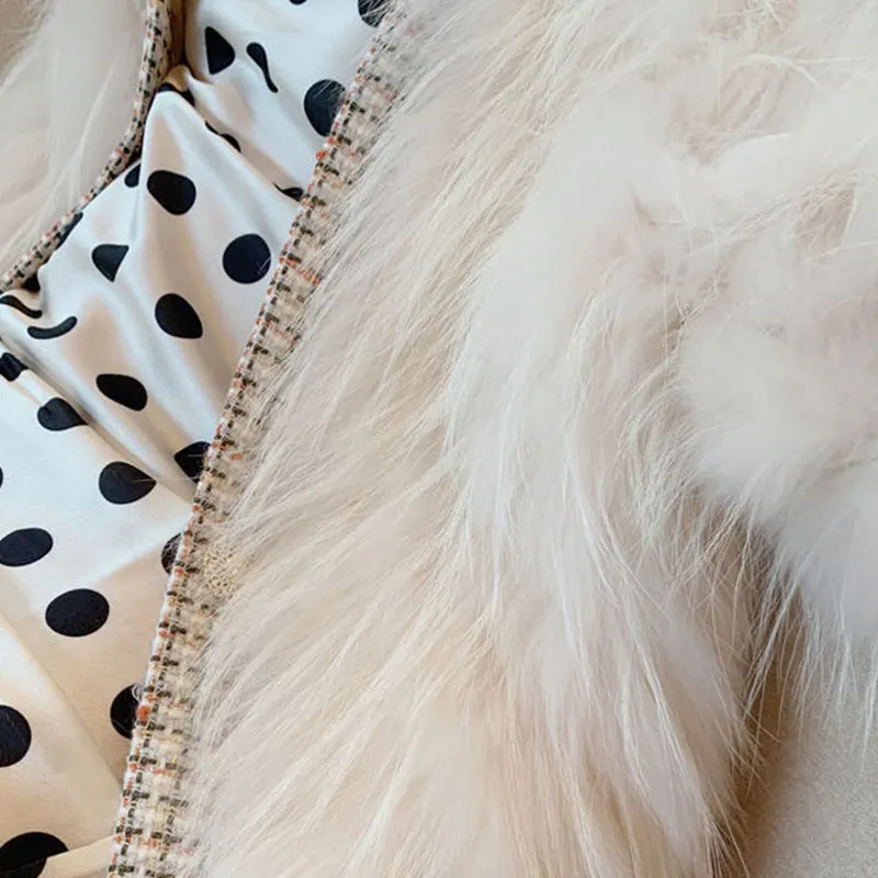 2021 Winter Faux Fur Coat Short Warm Women's Jacket Imitation Raccoon Skin Small Fragrance Loose Parkas Women Elegant Fur Coat