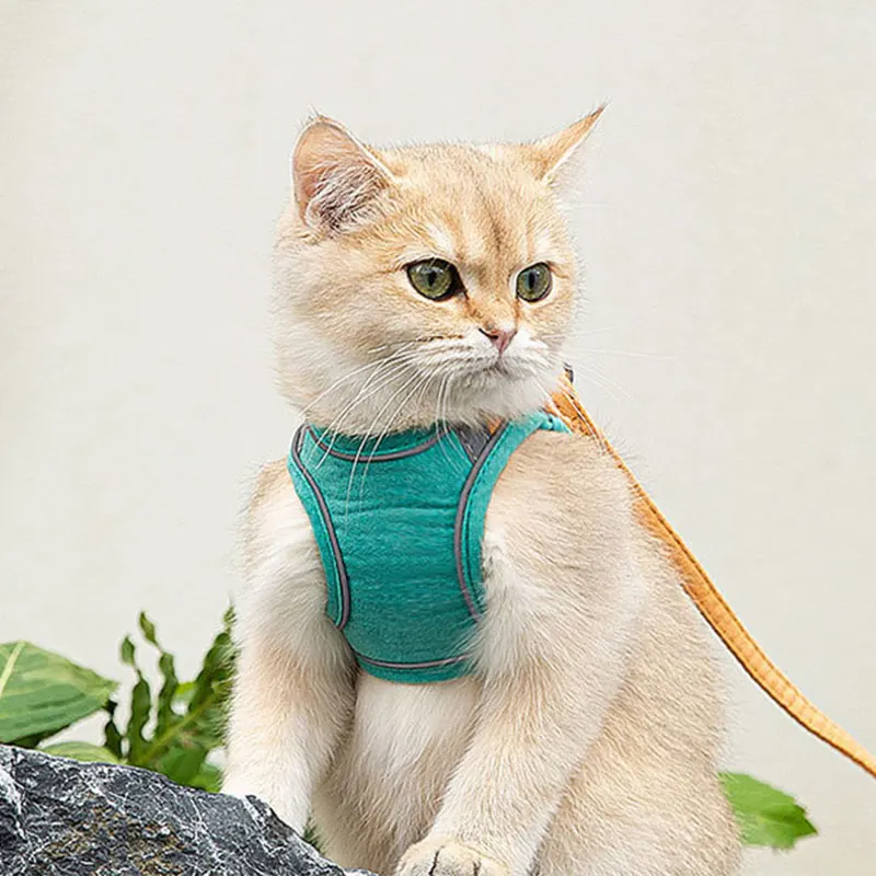 

Cat Harness Fashion Vest-style Chest Strap Pet Anti-lost Harnesses Outdoor Walking Small Cats Dogs Leash Collar Cat Accessories