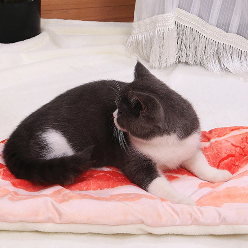 Забавная имитация пиццы теплое одеяло коврик кровать мягкая утолщенная плюшевая