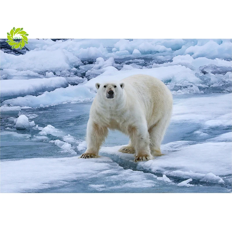 

SNA Full Square/Round Drill 5D DIY Diamond Painting "Polar Bear" Embroidery Cross Stitch 5D Home Decoration