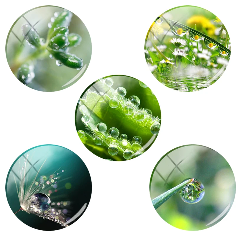 

Зеленые растения TAFREE с каплями росы, свежие круглые капли воды, фотографии, стеклянный кабошон, модные ювелирные изделия, аксессуары 12-25 мм