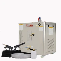 220v 9kw 30kw high power steam car washing machine automatic steam washer high temperature sterilization for car wash shop
