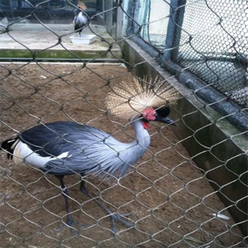Сетка для ограждения животных/из нержавеющей стали zoo Mesh