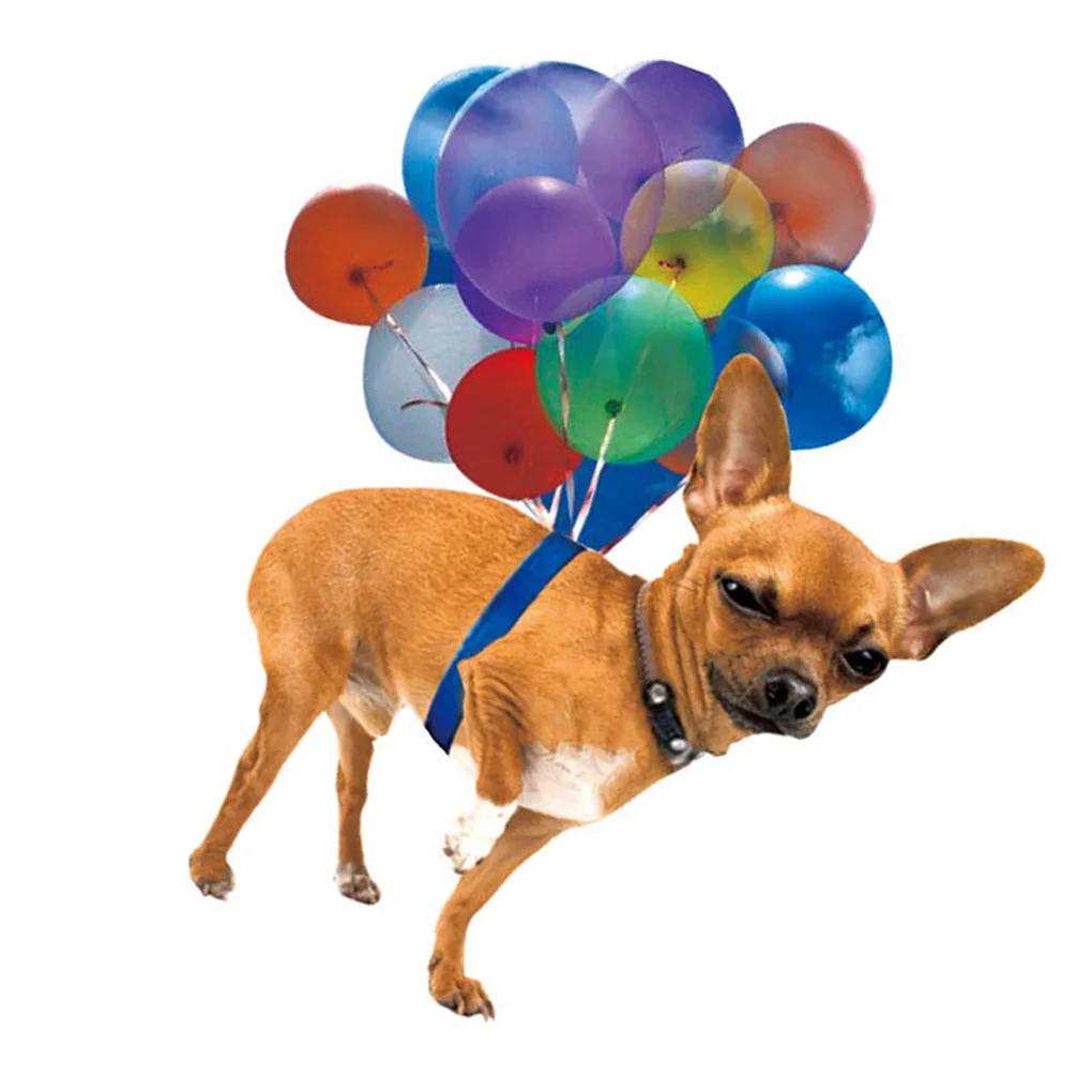 

Car Pendant Rearview Mirror Hanging Ornament Interior Animal Flying Rear View Decoration Bag Keychain Decor Holiday Gifts