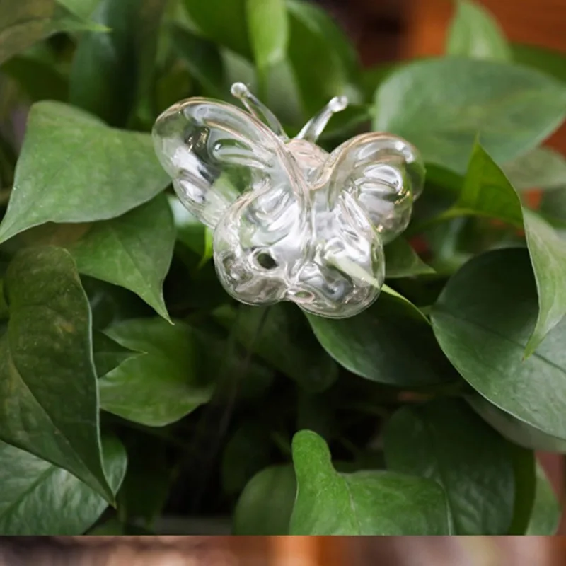 Устройство для самополива садовых растений|Канистры воды| |