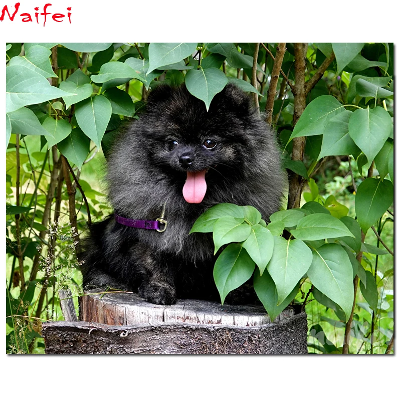 Алмазная картина Spitz puppy для собак квадрат/круглый полная дрель новинка сделай
