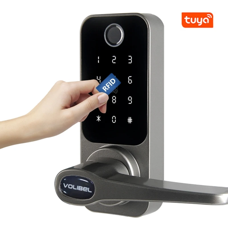 

Tuya Smart Door Lock With Fingerprint Code Card Small Size Entry Main Door Lock For Steel Doors