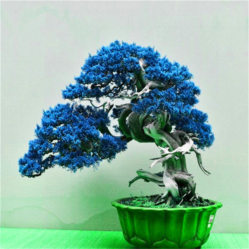 Аквариум Рок орнамент в стиле бонсай аквариум для рыб скалы искусственные