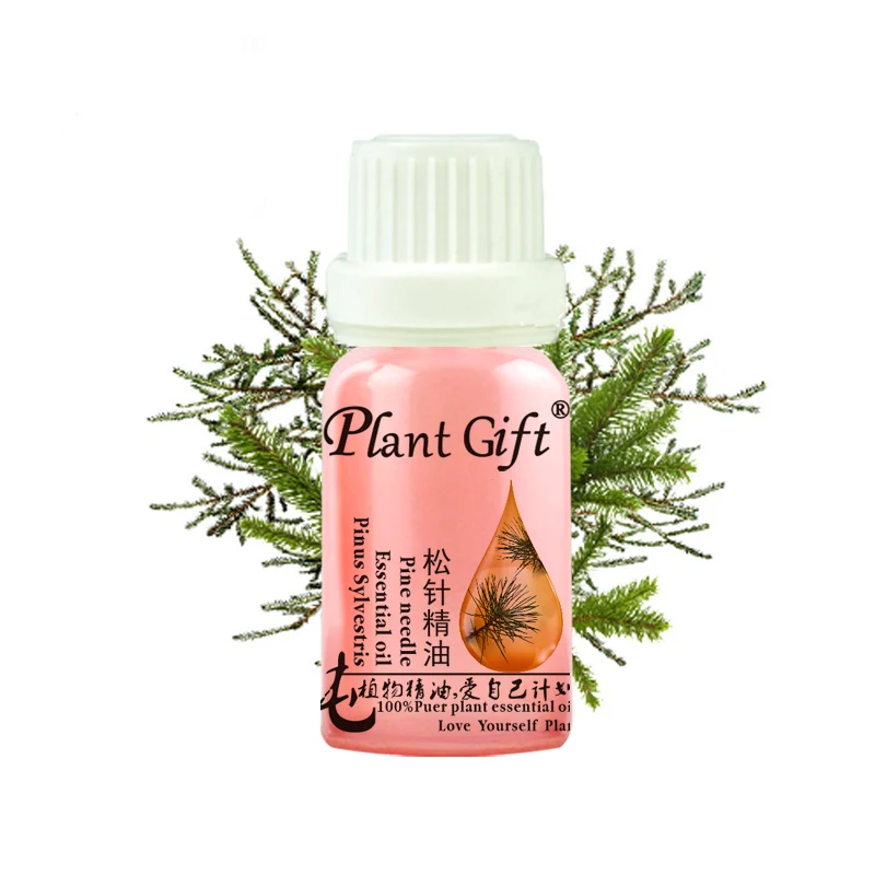 

Plant Gift 100% Pure Plant Essential Oil Pine Needles Oil 10ml Antibacterial Improve Bronchial Laryngitis