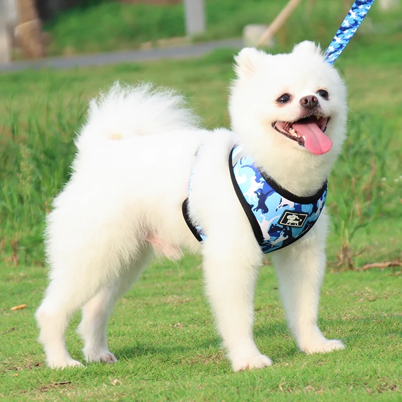 

Adjustable Dogs Harness Vest Leash And Collar Set For Small Medium Dogs Antiescape Pet Chest Strap French Bulldog Accessories