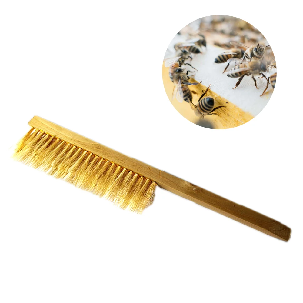 

1Pcs Two rows of bristles wooden beekeeping brush apiary safety beehive cleaning tool beekeeper equipment does not harm the bees