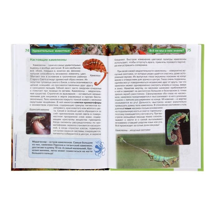 Детская энциклопедия РОСМЭН Удивительные животные 1337443 |