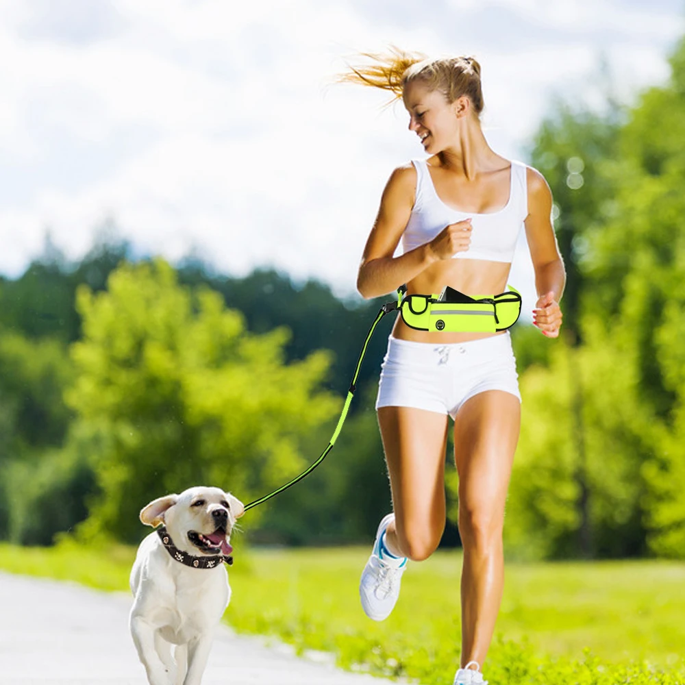 Поводок для собак маленьких больших тянущиеся поводки котов Светоотражающий