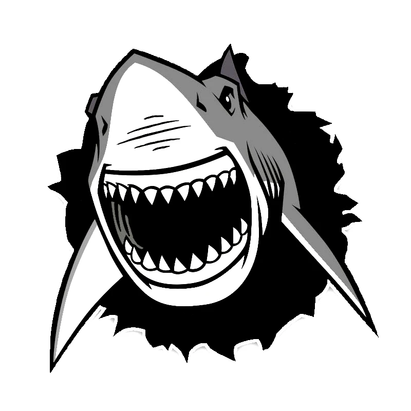 DAWASARU Милая Белая Акула мультфильм цвет ПВХ украшение автомобиля аксессуары