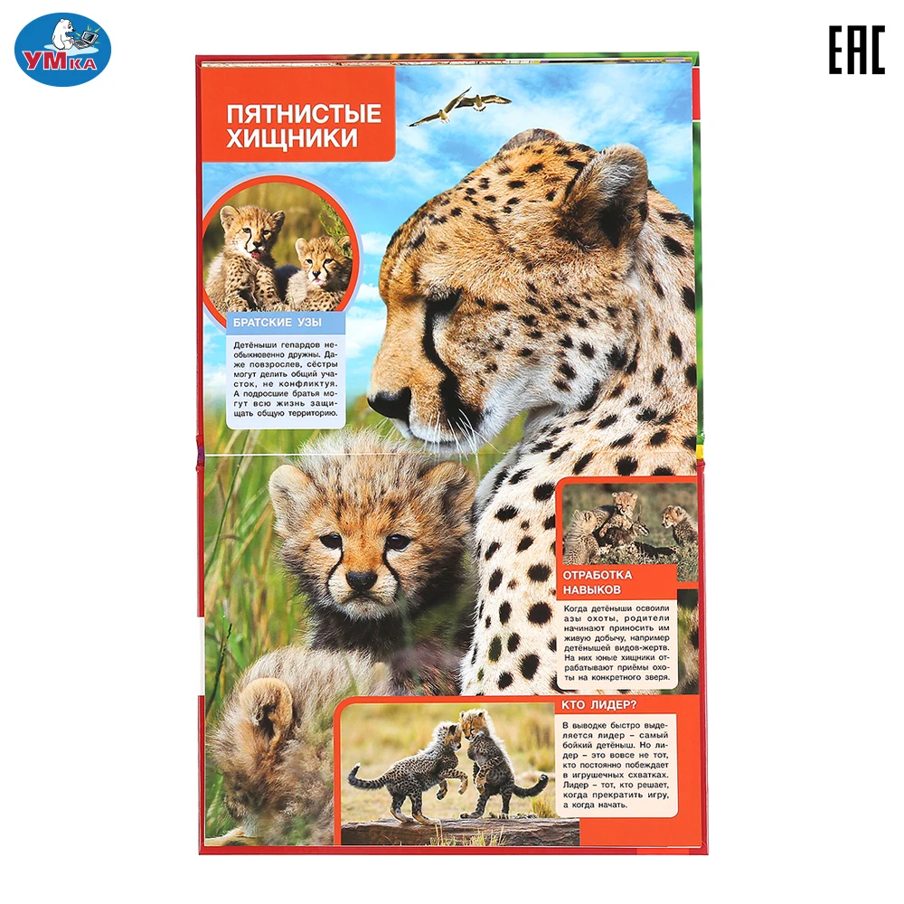 Энциклопедия Умка Детеныши хищников (с развивающими заданиями) твердый переплет