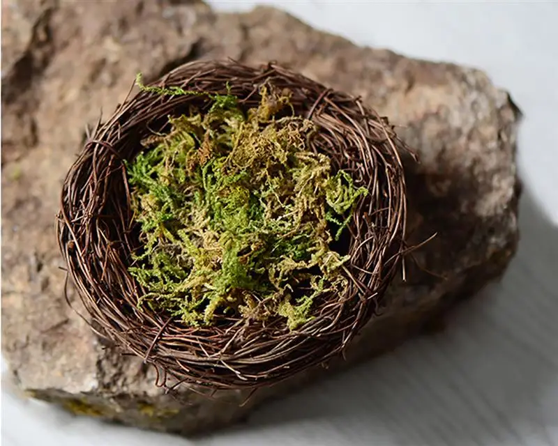 Сухой лесной мох 1 упаковка многоцелевой натуральный растительный