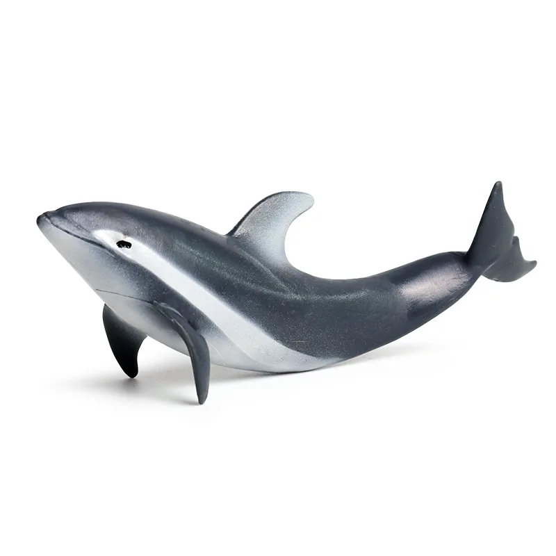 

Pacific white-sided Dolphin Animal Figure Collectible Toys Sea Animal Cognition Action Figures Kids Plastic Cement Toys